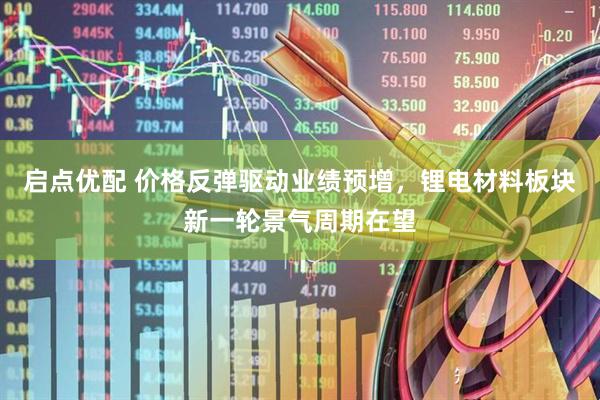 启点优配 价格反弹驱动业绩预增，锂电材料板块新一轮景气周期在望